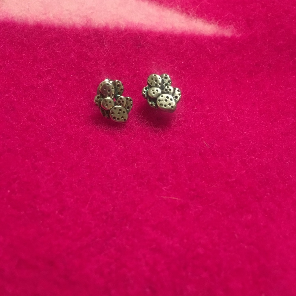 Cactus Earrings